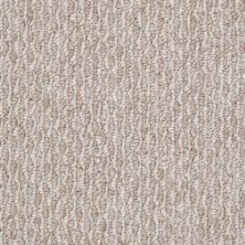 Shaw Floors Value Collections Newmar 12′ Net Oyster 00100_E9143