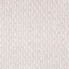 Shaw Floors Value Collections Newmar 12′ Net Cotton Canvas 00110_E9143