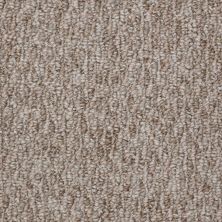 Shaw Floors Value Collections Newmar 12′ Net Cozy Home 00700_E9143