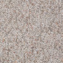 Shaw Floors Value Collections Pembrooke 12' Net Rocky Road