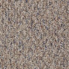 Shaw Floors Value Collections Pembrooke 12' Net Windmill