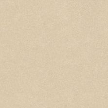 Shaw Floors Value Collections Passageway 2 12 Cream 00101_E9153