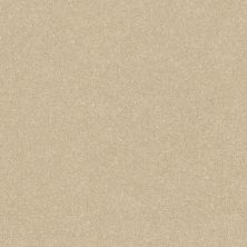 Shaw Floors Value Collections Passageway 2 12 Linen 00107_E9153