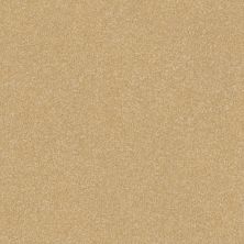 Shaw Floors Value Collections Passageway 2 12 Butter 00200_E9153