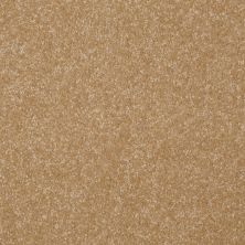 Shaw Floors Value Collections Passageway 2 12 Straw Hat 00201_E9153