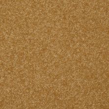 Shaw Floors Value Collections Passageway 2 12 Golden Rod 00202_E9153