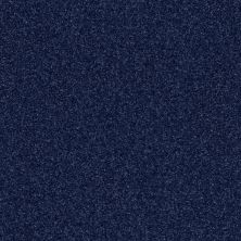 Shaw Floors Value Collections Passageway 2 12 Cadet 00402_E9153