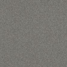 Shaw Floors Value Collections Passageway 2 12 Pewter 00501_E9153