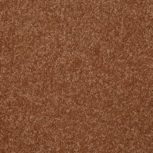 Shaw Floors Value Collections Passageway 2 12 Soft Copper 00600_E9153