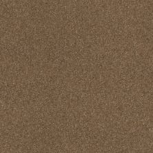 Shaw Floors Value Collections Passageway 2 12 Jute 00703_E9153