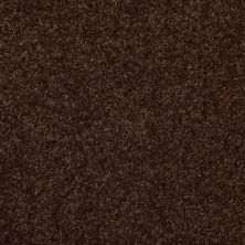 Shaw Floors Value Collections Passageway 2 12 Walnut 00706_E9153