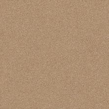 Shaw Floors Value Collections Passageway 3 12 Net Muffin 00106_E9154