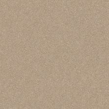 Shaw Floors Value Collections Passageway 3 12 Net Fresco 00109_E9154