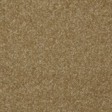 Shaw Floors Value Collections Passageway 3 12 Net Celery 00300_E9154