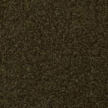 Shaw Floors Value Collections Passageway 3 12 Net Pine 00304_E9154