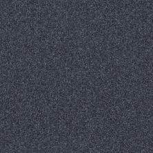 Shaw Floors Value Collections Passageway 3 12 Net Denim 00401_E9154