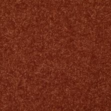 Shaw Floors Value Collections Passageway 3 12 Net Maple Leaf 00601_E9154
