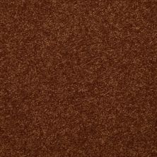 Shaw Floors Value Collections Passageway 3 12 Net Gingerbread 00602_E9154