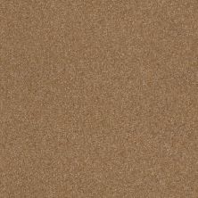 Shaw Floors Value Collections Passageway 3 12 Net Ash Blonde 00701_E9154