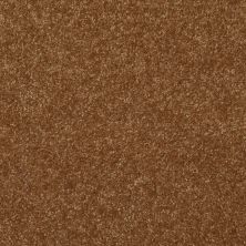 Shaw Floors Value Collections Passageway 3 12 Net Brass Button 00704_E9154