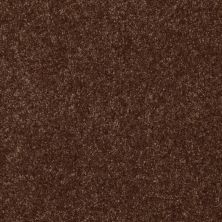 Shaw Floors Value Collections Passageway 3 12 Net Mocha Chip 00705_E9154