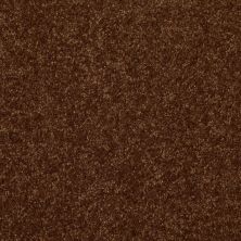 Shaw Floors Value Collections Passageway 3 12 Net Patina 00707_E9154