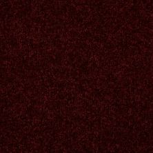 Shaw Floors Value Collections Passageway 3 12 Net Bordeaux 00805_E9154