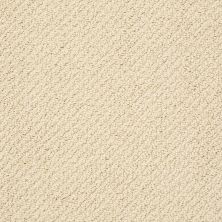 Shaw Floors Value Collections Truly Relaxed Loop Net Candlewick Glow