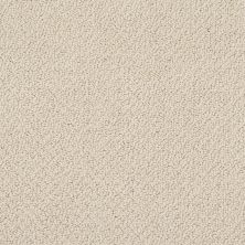 Shaw Floors Value Collections Truly Relaxed Loop Net French Linen
