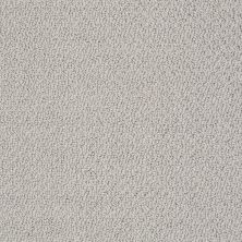 Shaw Floors Value Collections Truly Relaxed Loop Net Ash