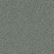 Shaw Floors Value Collections Truly Relaxed Loop Net Atmosphere