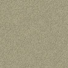 Shaw Floors Value Collections Truly Relaxed Loop Net Rocky Coast