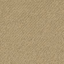 Shaw Floors Value Collections Truly Relaxed Loop Net Cappuccino