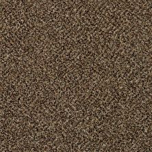 Shaw Floors Simply The Best Because We Can I 12′ Raw Sienna 00202_E9186