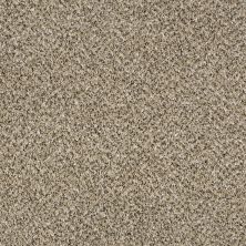 Shaw Floors Simply The Best Because We Can II 12′ Sea Shell 00100_E9187