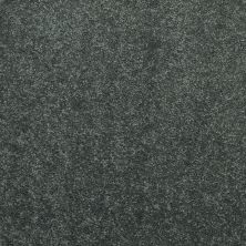 Shaw Floors Value Collections Dyersburg Classic 15′ Net Steel Beam 00534_E9193