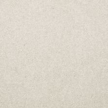 Shaw Floors Value Collections Dyersburg Classic 15′ Net Taupe 55105_E9193