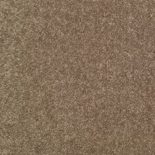 Shaw Floors Value Collections Dyersburg Classic 15′ Net Driftwood 55720_E9193