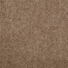Shaw Floors Value Collections Dyersburg Classic 15′ Net Candied Truffle 55750_E9193