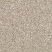 Shaw Floors Value Collections Dyersburg Classic 15′ Net Plaster 55752_E9193