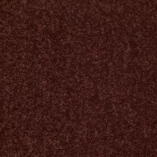 Shaw Floors Value Collections Dyersburg Classic 15′ Net Coffee 55755_E9193