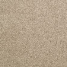Shaw Floors Value Collections Dyersburg Classic 15′ Net Dusty Trail 55793_E9193