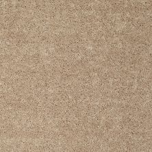 Shaw Floors Value Collections Briceville Classic 12′ Net Wild Dune 00201_E9196