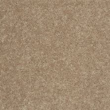 Shaw Floors Value Collections Briceville Classic 15′ Net Soapstone 00107_E9197
