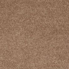 Shaw Floors Value Collections Briceville Classic 15′ Net Eagles Nest 00704_E9197