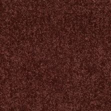 Shaw Floors Value Collections Briceville Classic 15′ Net Coffee 55755_E9197