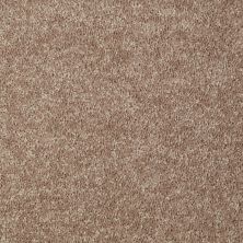 Shaw Floors Value Collections Briceville Classic 15′ Net Dusty Trail 55793_E9197