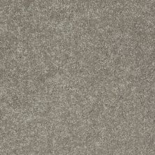 Shaw Floors Value Collections Newbern Classic 12′ Net Pebble Path 00132_E9198