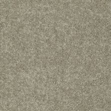 Shaw Floors Value Collections Newbern Classic 12′ Net Fossil 00761_E9198