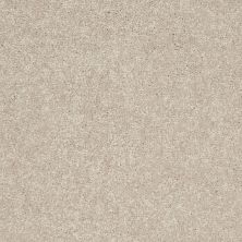 Shaw Floors Value Collections Newbern Classic 12′ Net Dove 55700_E9198